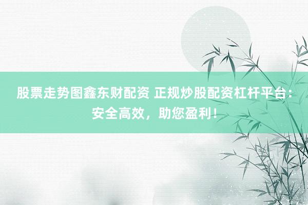 股票走势图鑫东财配资 正规炒股配资杠杆平台：安全高效，助您盈利！