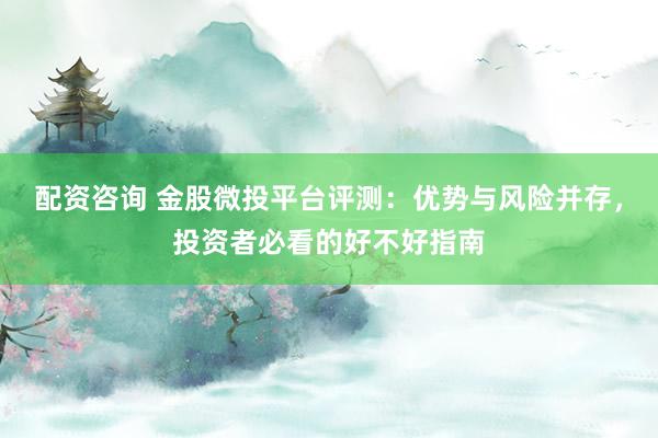 配资咨询 金股微投平台评测：优势与风险并存，投资者必看的好不好指南
