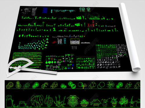 各类园林绿化植物CAD平立面图集设计平面图下载