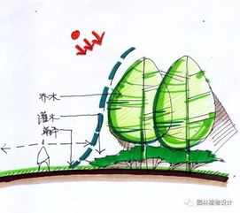 园林植物设计规范详细图解和绿化栽植技术要求